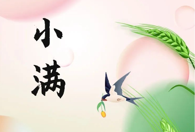 今日小滿(mǎn) | 盈而未滿(mǎn) 恰得圓滿(mǎn)