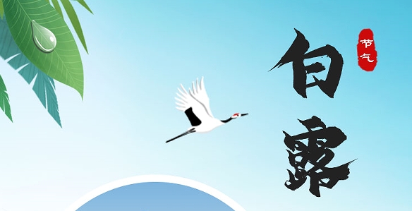 白露 | 白露暖秋色 莫負(fù)好光景